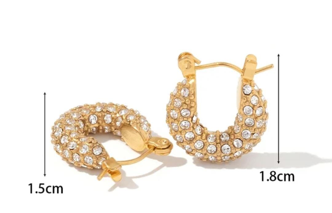 Diamond Studded Hoop Earrings