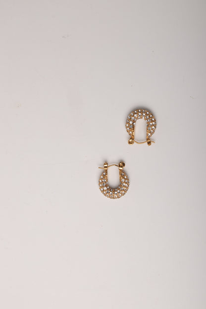 Diamond Studded Hoop Earrings
