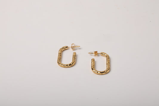 Textured Hoops Earring