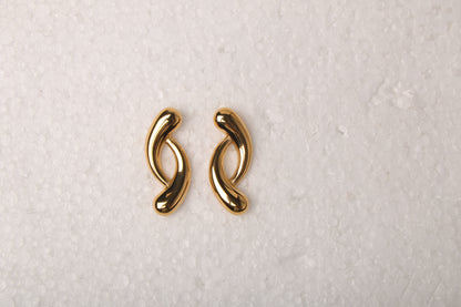 Unite Link Earring