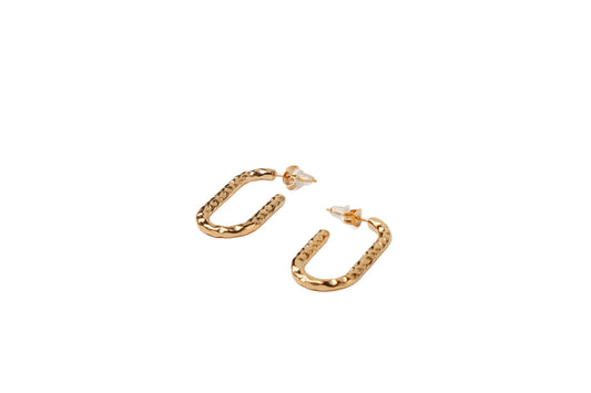 Textured Hoops Earring